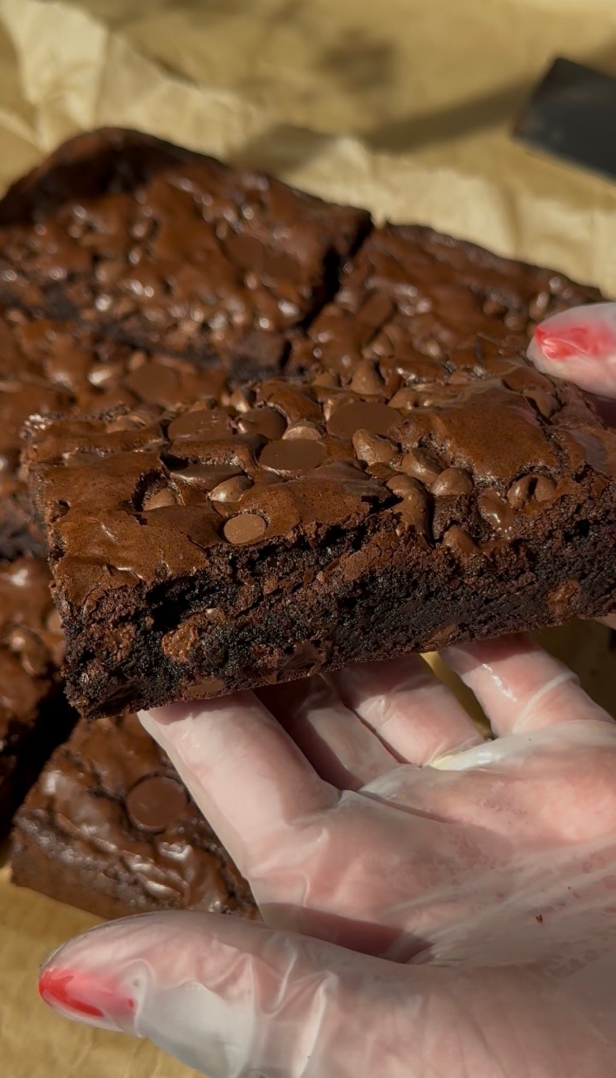 Half Dozen Bloom Brownies | 6 ct.