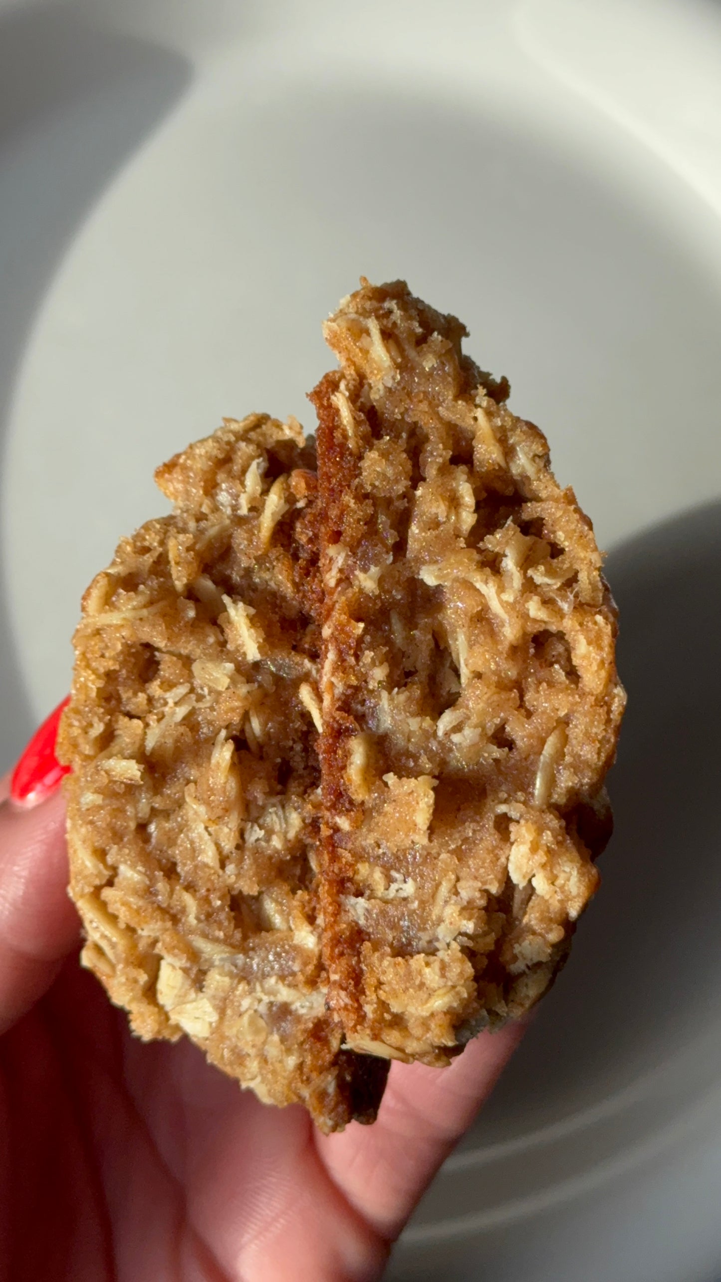 Oatmeal Rasin-less | 4 ct.