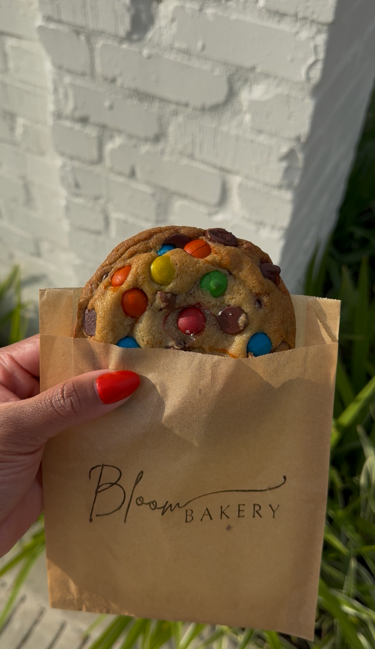 M&M Chocolate Chip | 1 ct.