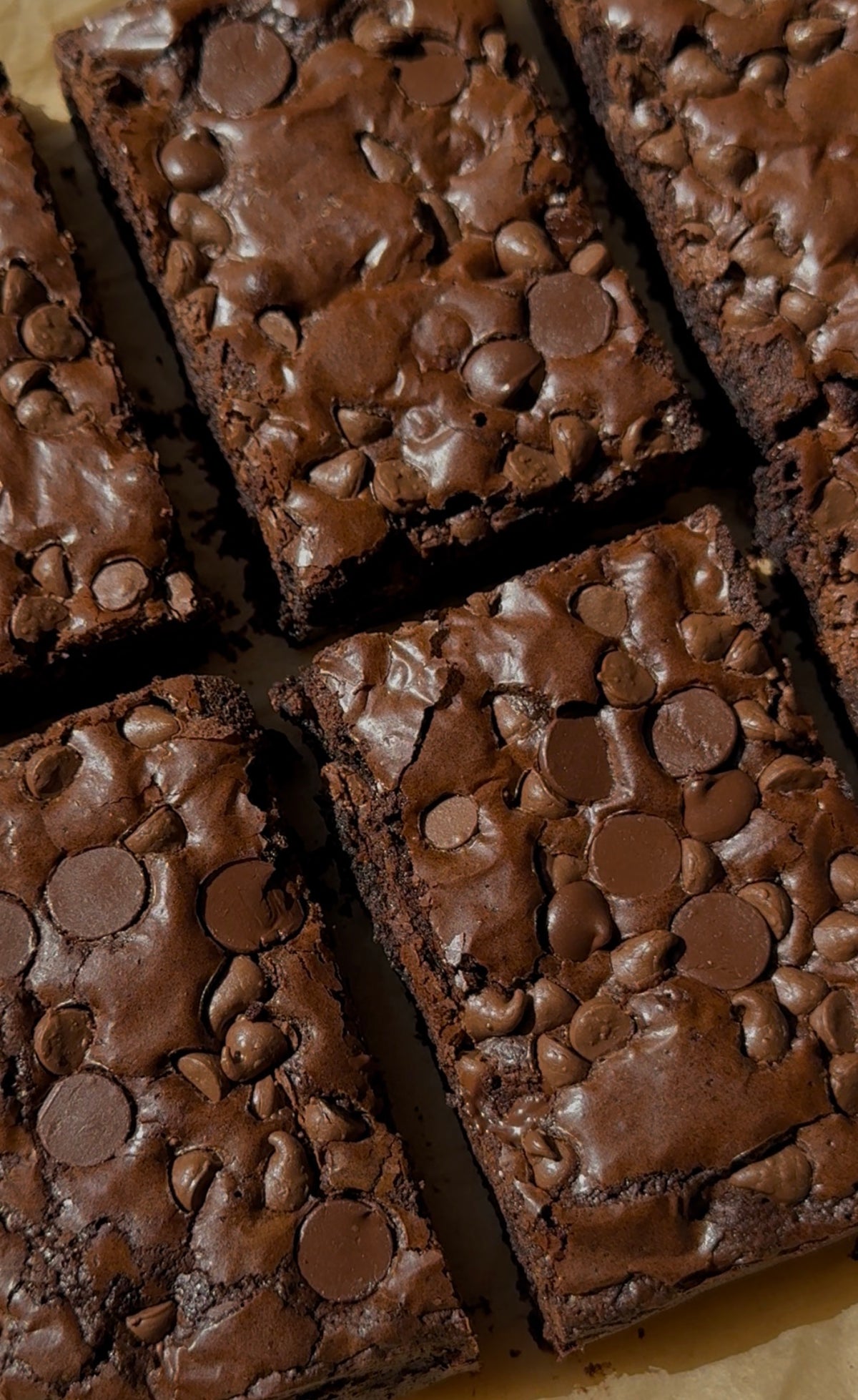 Half Dozen Bloom Brownies | 6 ct.