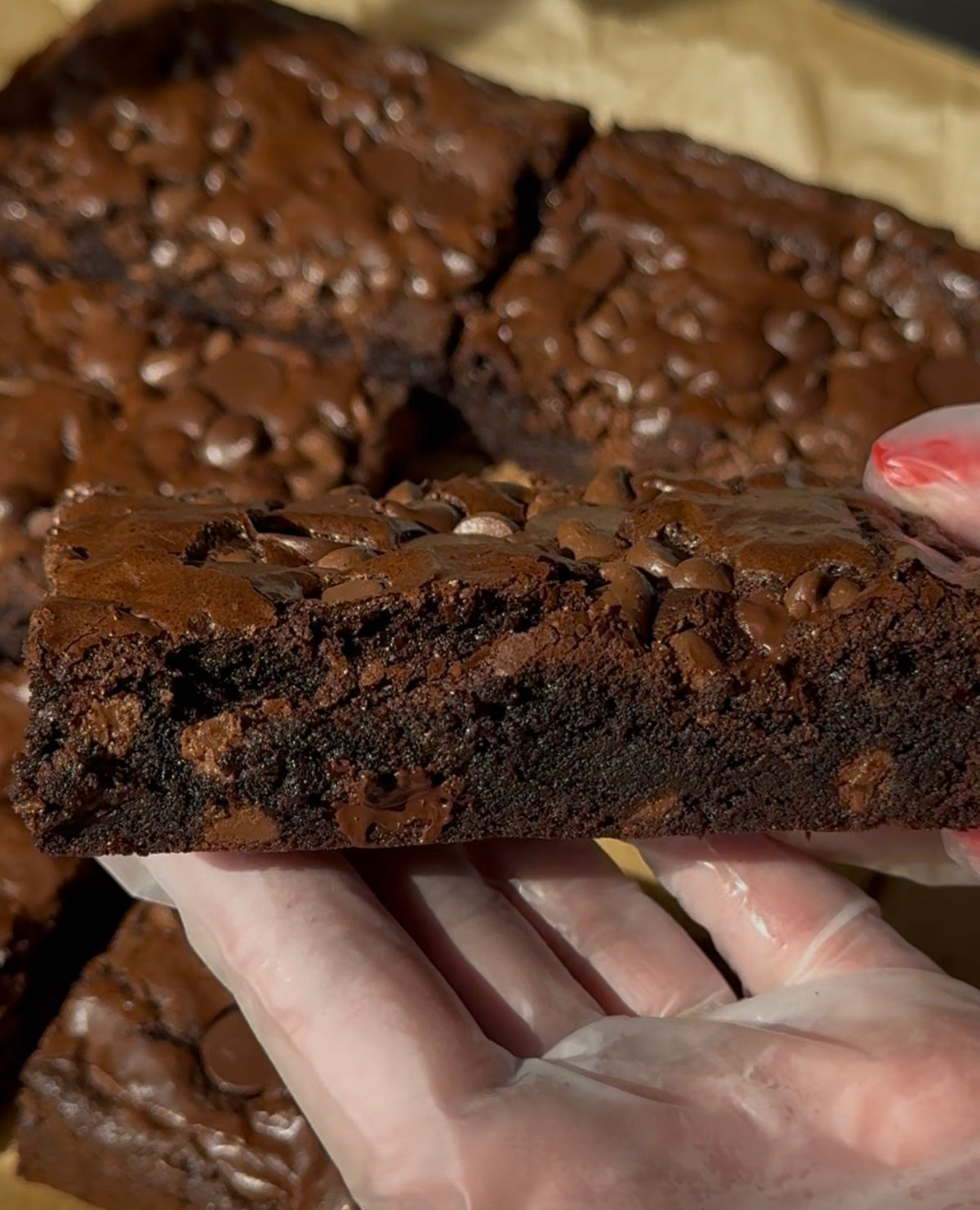 Half Dozen Bloom Brownies | 6 ct.