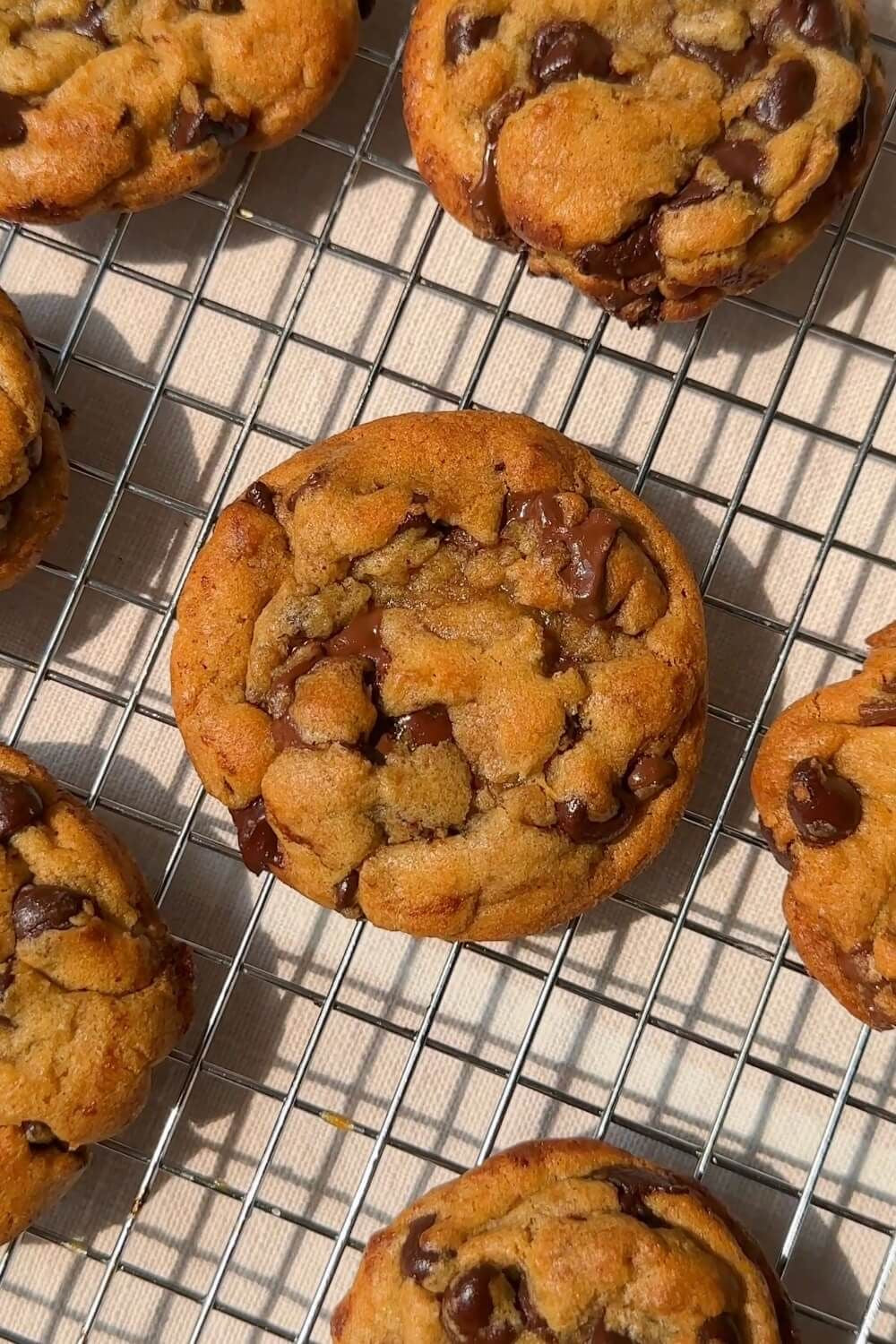 Brown Butta Chocolate Chip | 8 ct.