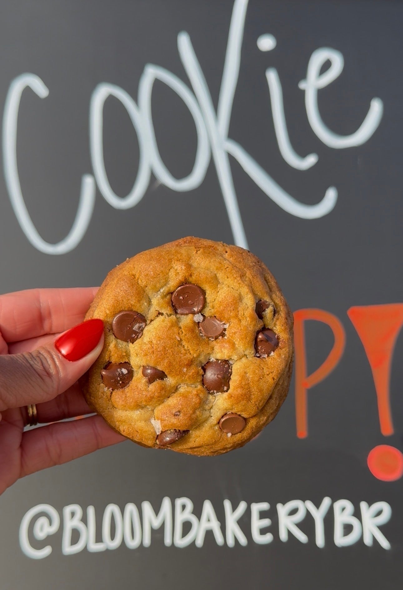 Dozen Brown Butta Chocolate Chip | 12 ct.