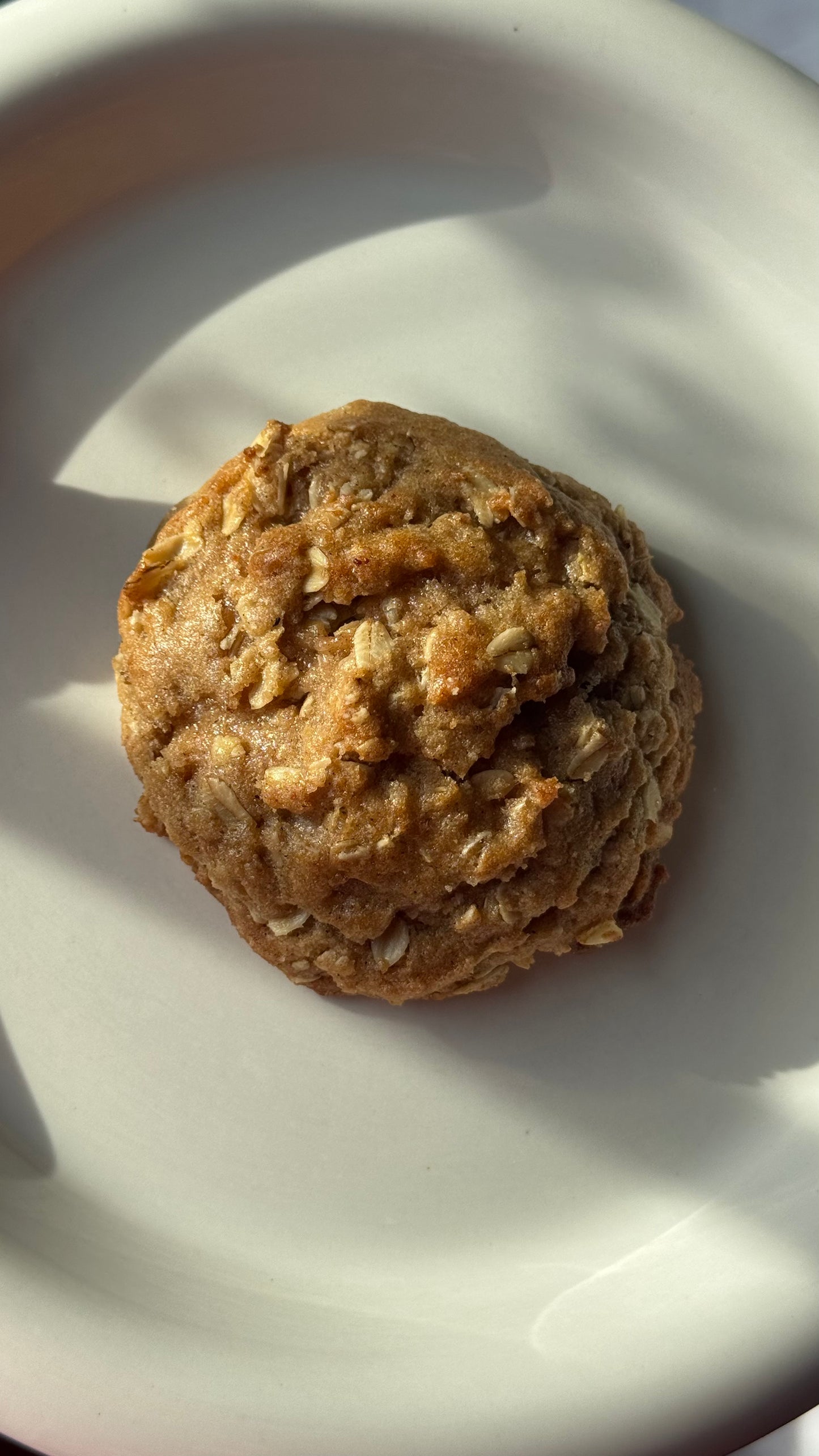 Oatmeal Rasin-less | 4 ct.