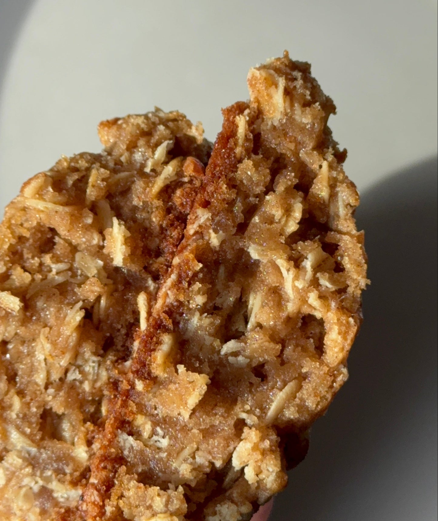Oatmeal Rasin-less | 4 ct.